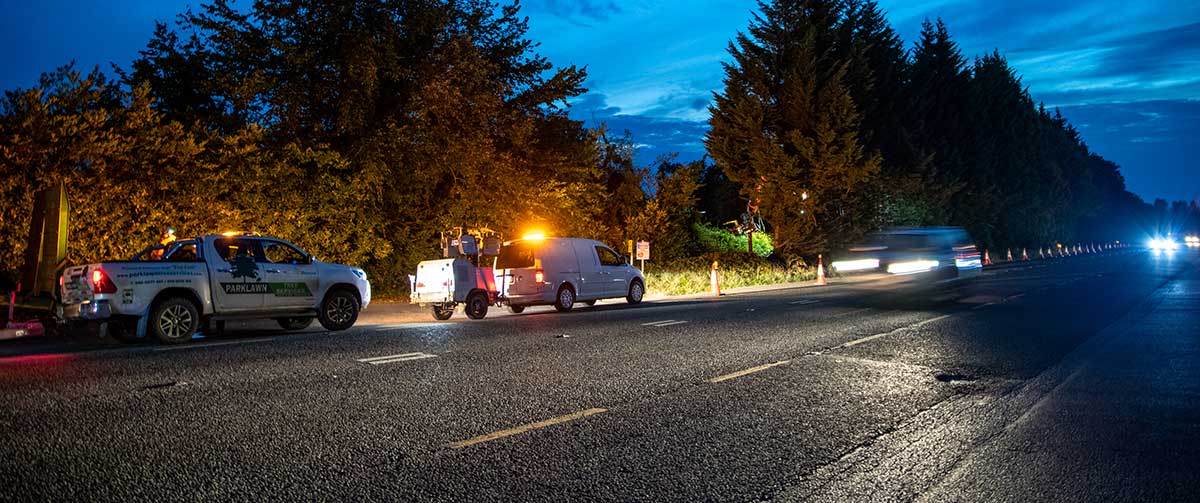 Commercial Tree Care - Parklawn Tree Services