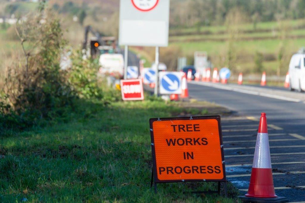 Tree Works in Carrick on Shannon, Ireland